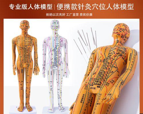 以人体工厂为题的皮肤割伤通关攻略（以游戏为主）