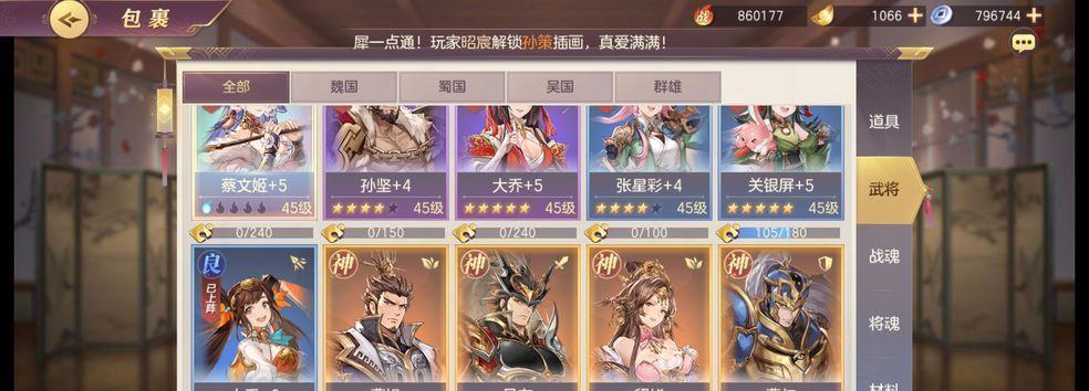 三国志幻想大陆王元姬阵容如何克制？有哪些有效策略？