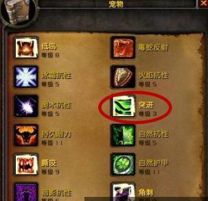 美服魔兽世界怎么加速？如何提升游戏速度？