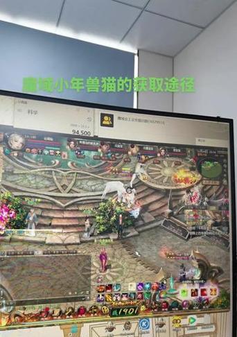 魔域龙骑灵猫最佳搭配是什么？如何提升战力？